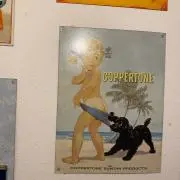 綾鷹