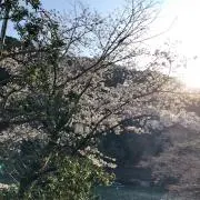 よーーの画像