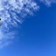 Factionの画像