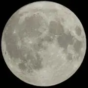 masakunの画像