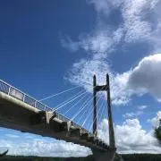 タカ
