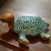 ミドリカメ(^^の画像