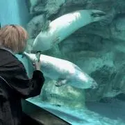 らの画像