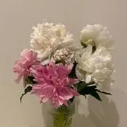 M (プロフ必読お願いします‼︎)