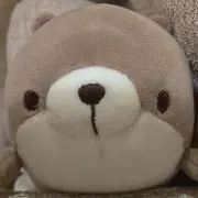 断捨離促進中！★かわうそそうちゃんの画像