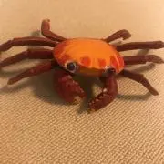 ツボちゃん