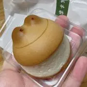 kumoの画像
