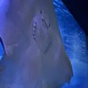 2の画像