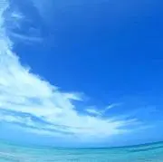 ぱうろの画像