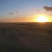 sho