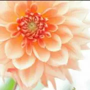 ☆NAMI☆プロフ必読♡要在庫確認の画像