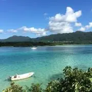 Linai(プロフ必読)の画像