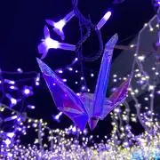 ぽむの画像