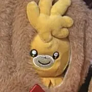 ゆの画像