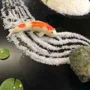 苹果