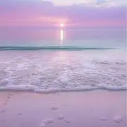 Rの画像