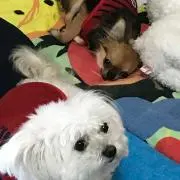 ゆーこ