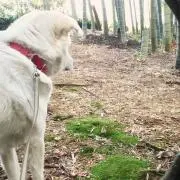 もか