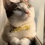 自己紹介一読願います！の画像