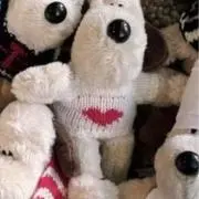 ゆにの画像