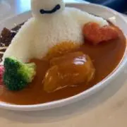 Hinの画像