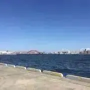 るるんの画像