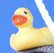 はる꒰ プロフ必読 同梱不可 ꒱の画像