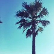 yukiの画像
