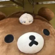 kの画像