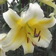 YURI★プロフィールご覧下さい!!