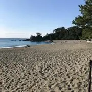 チヌ太郎