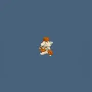 syの画像