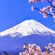 結崎月城