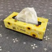 ティッシュ