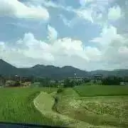 ぱんだ(次回発送、平日)様専用 CDJスタンド 2台セット - メルカリ