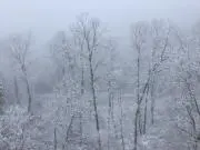 Makuの画像