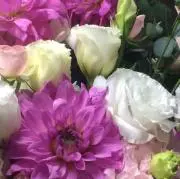 メグさん