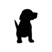 koten【無言購入◎】の画像