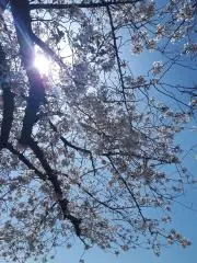 takeの画像