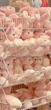はなの画像
