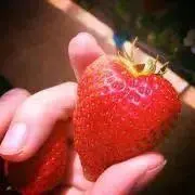 m♡の画像