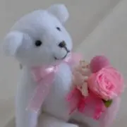 くまくまの画像