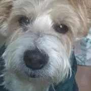 くーちゃん
