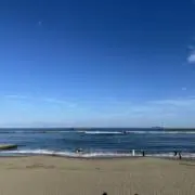 17の画像