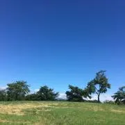 puririの画像