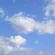 みみたそ