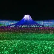 はるたんの画像