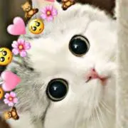 ✨アイピー✨