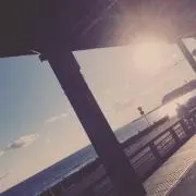 しゅ