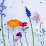 ゆう